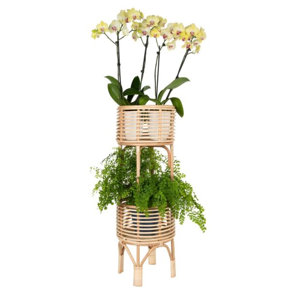Handmade Rattan Plant Stand | Rattan Planter - Image 2