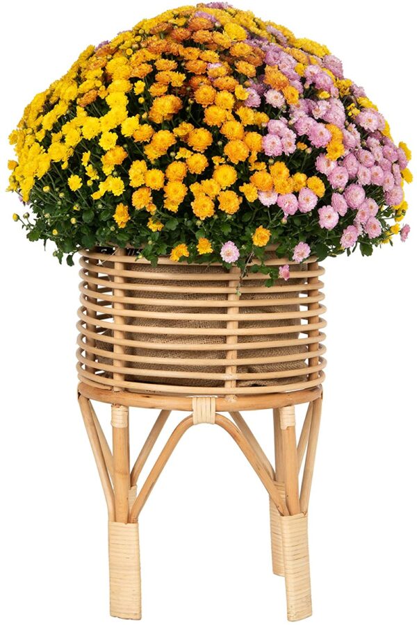 Handmade Rattan Plant Stand | Rattan Planter - Image 3